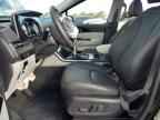2024 KIA Carnival