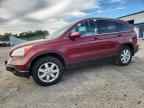 2009 HONDA CR-V