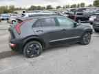 2024 KIA Niro