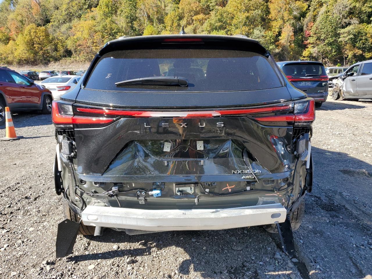 2025 LEXUS Nx