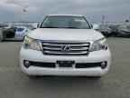 2011 LEXUS GX 460