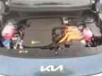 2025 KIA Niro