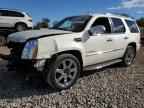 2010 CADILLAC ESCALADE