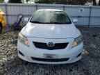 2010 TOYOTA COROLLA