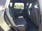 2024 BMW iX