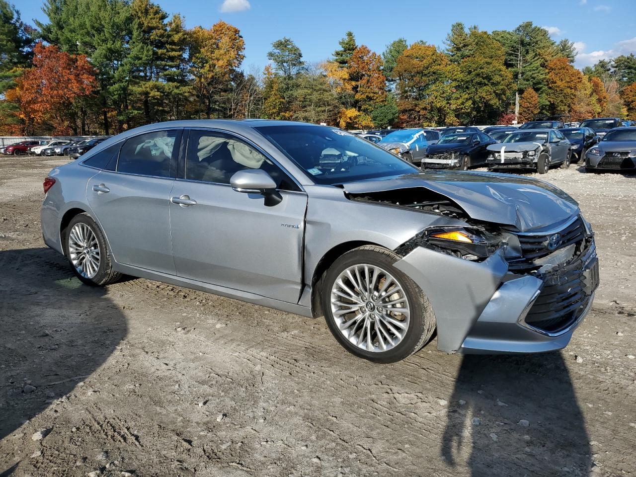 2019 TOYOTA Avalon