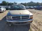 2004 DODGE Dakota
