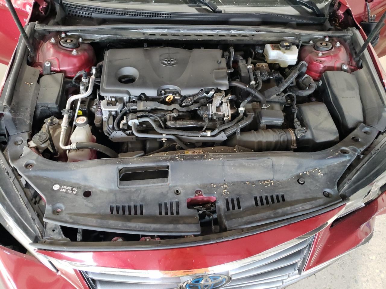2021 TOYOTA Avalon