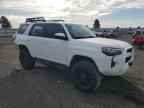 2024 TOYOTA 4Runner
