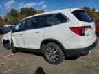 2020 HONDA PILOT