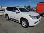 2013 LEXUS GX 460