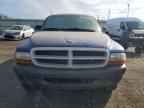 2004 DODGE Dakota