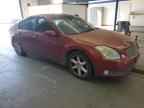 2005 NISSAN Maxima
