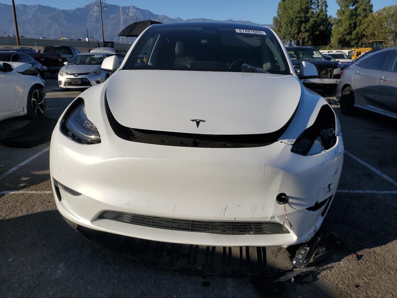 2021 TESLA MODEL Y