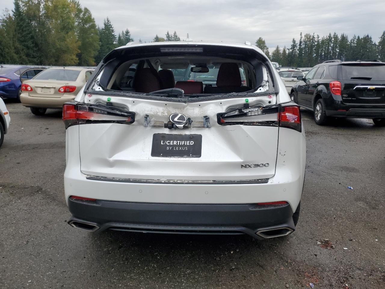 2020 LEXUS NX 300