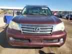 2011 LEXUS GX 460