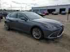 2024 LEXUS ES 350