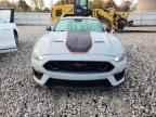 2023 FORD MUSTANG