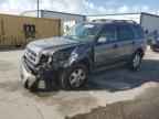 2009 FORD ESCAPE