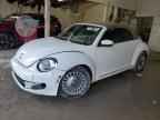 2014 VOLKSWAGEN Beetle