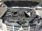 2009 CADILLAC ESCALADE