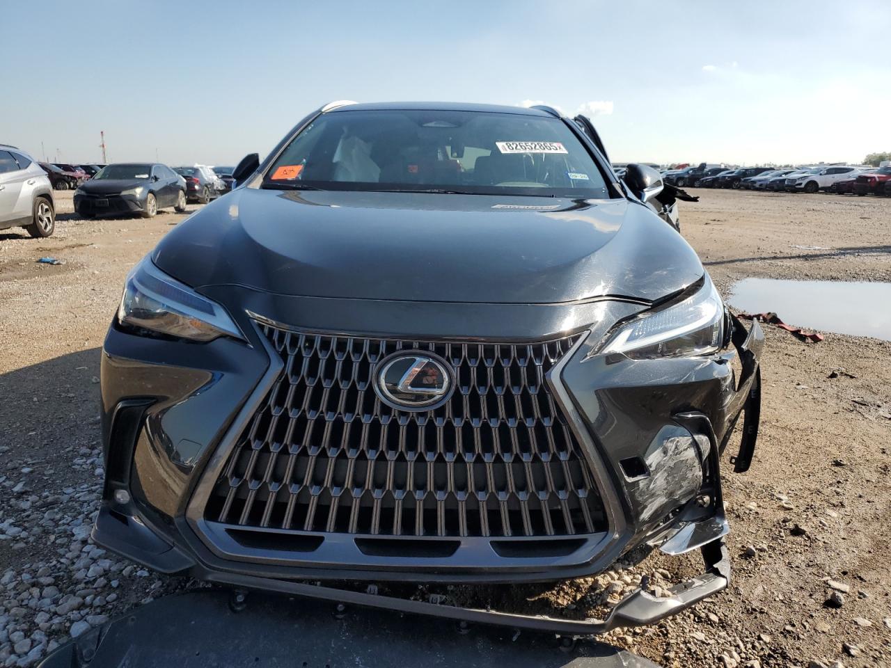 2024 LEXUS NX 250