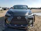 2024 LEXUS NX 250