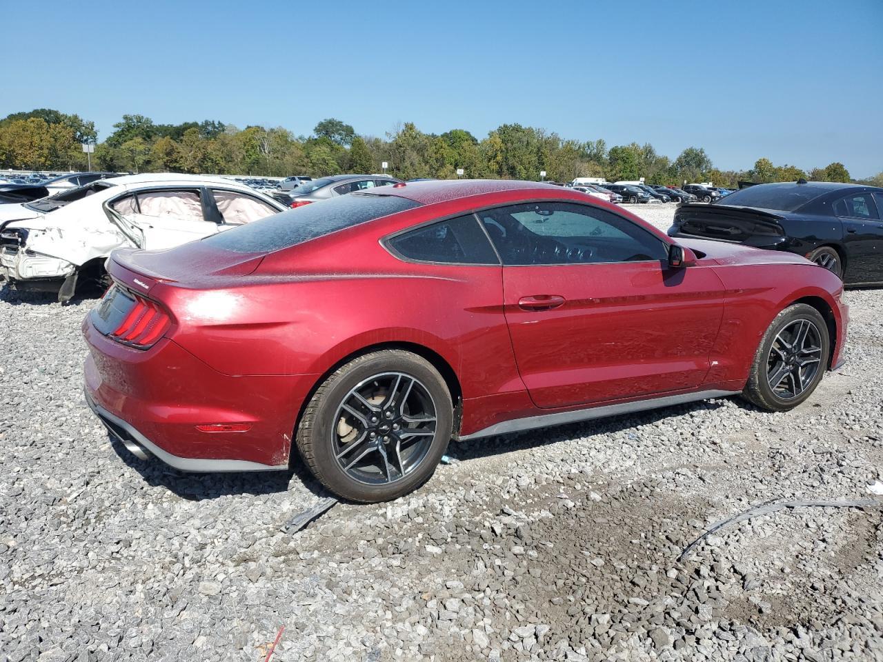 2019 FORD MUSTANG