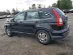 2010 HONDA CR-V