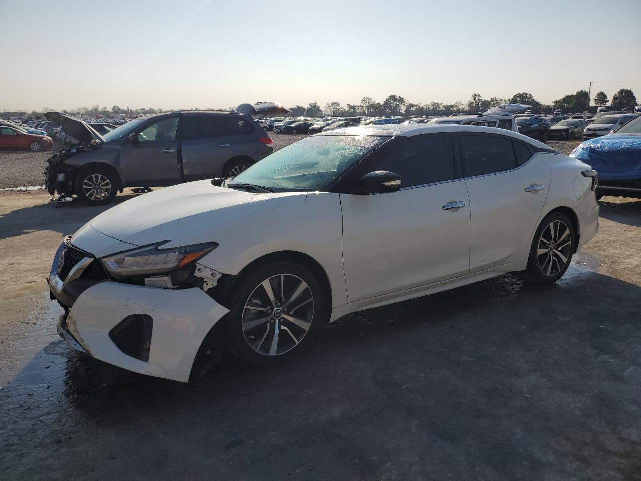 2019 NISSAN Maxima
