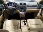 2010 HONDA CR-V