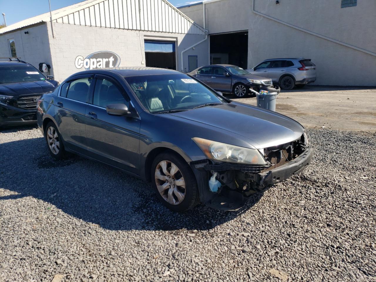 2010 HONDA ACCORD