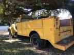 1986 FORD F600
