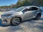 2020 LEXUS Nx