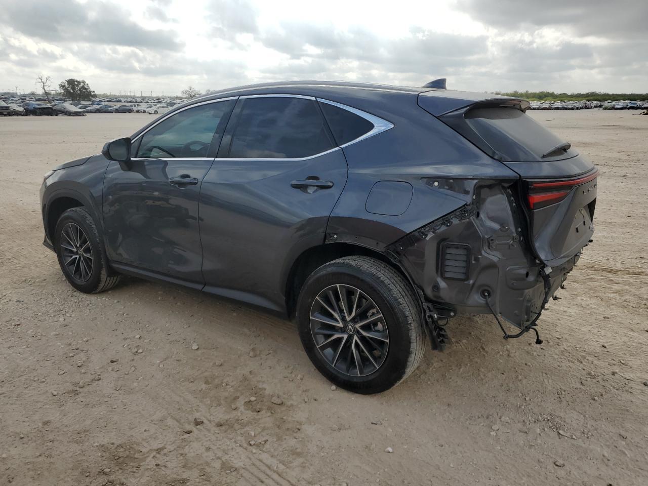 2024 LEXUS Nx