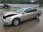 2005 NISSAN Maxima