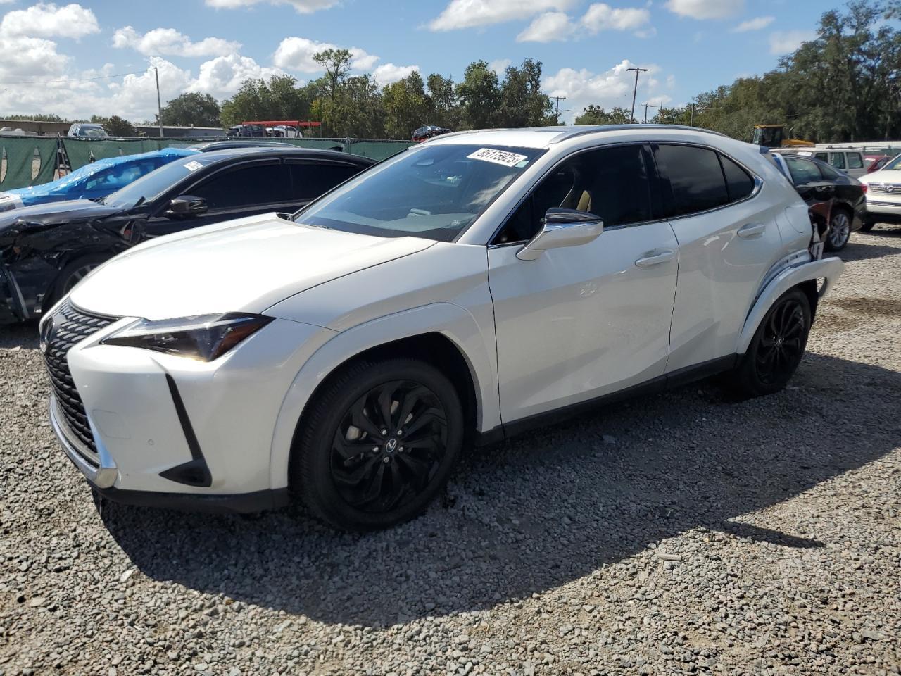 2025 LEXUS Ux