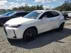 2025 LEXUS Ux