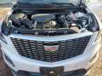 2025 CADILLAC XT5