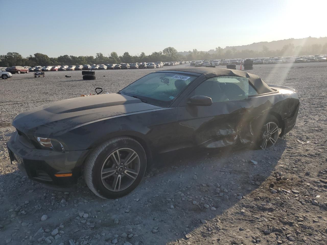 2010 FORD MUSTANG