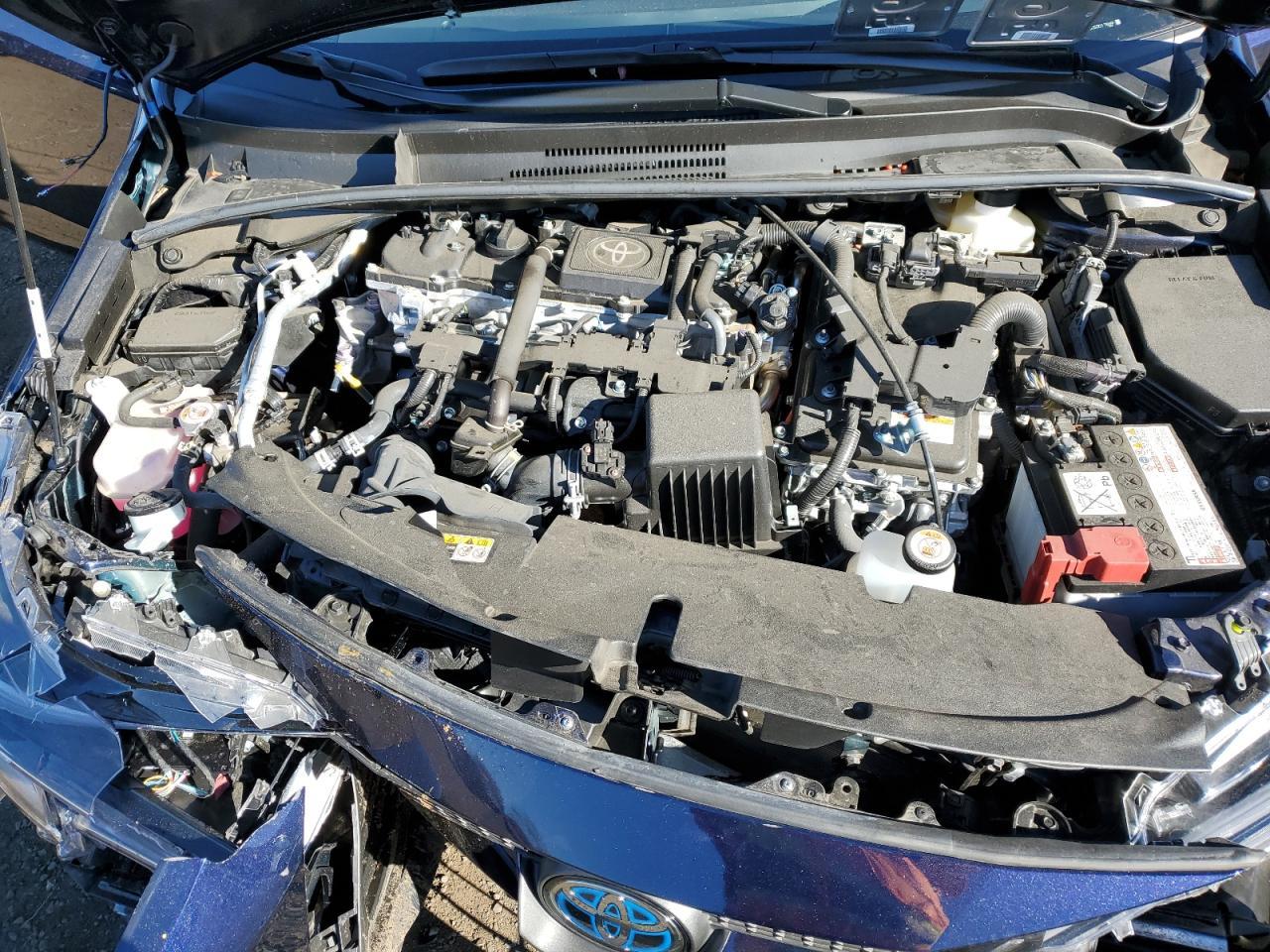 2025 TOYOTA COROLLA