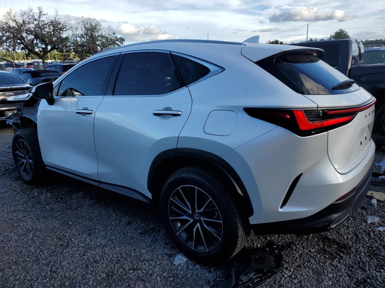 2025 LEXUS Nx