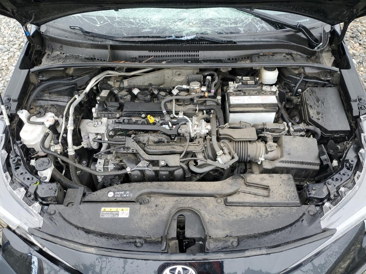 2023 TOYOTA COROLLA