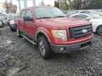 2009 FORD F-150