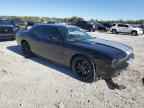 2013 DODGE Challenger