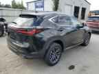 2026 LEXUS Nx