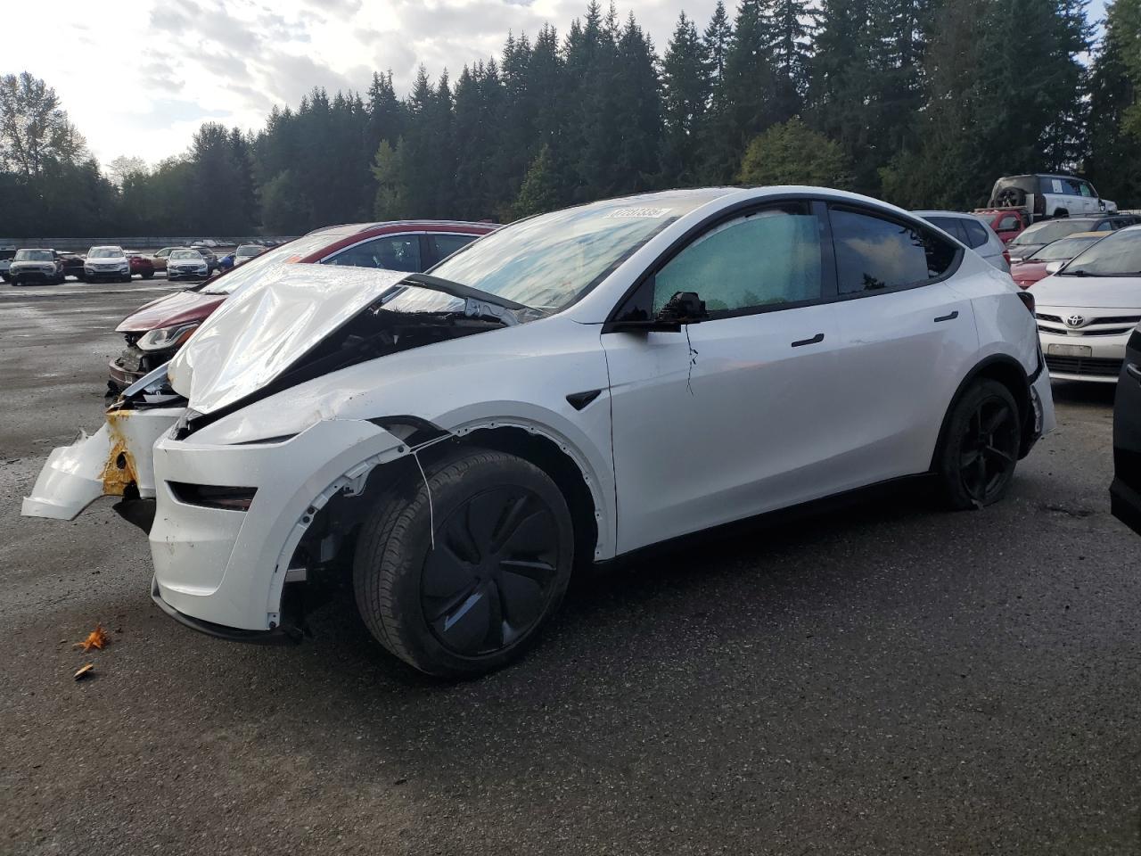 2026 TESLA MODEL Y