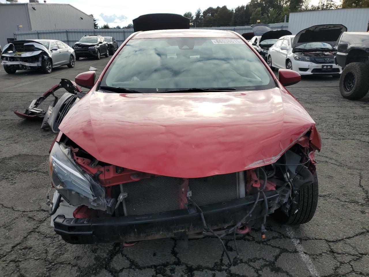 2019 TOYOTA COROLLA