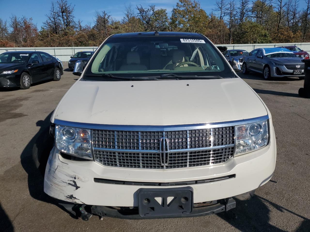 2007 LINCOLN MKX