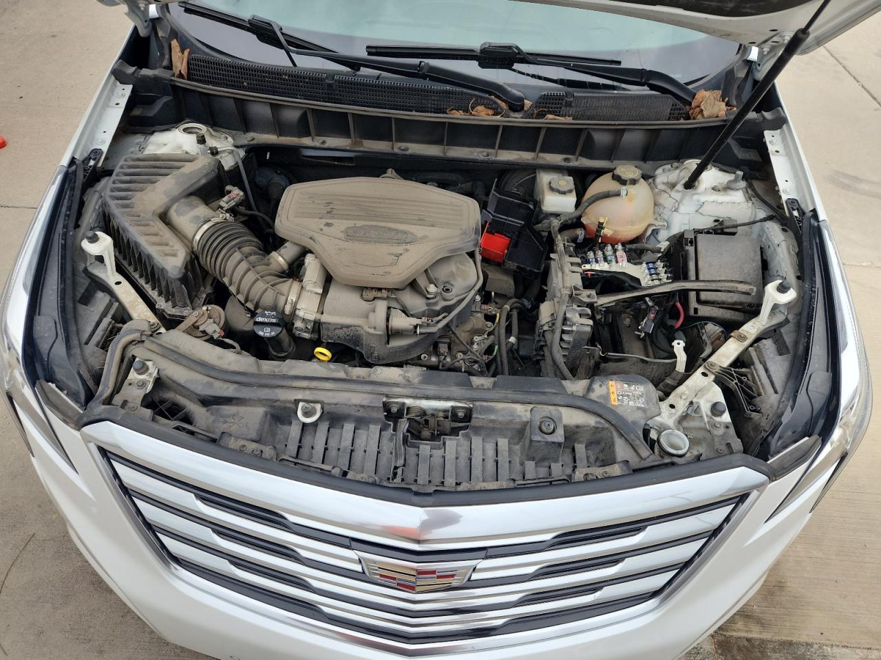 2019 CADILLAC XT5